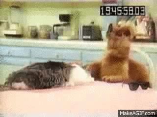 alf | GIF | PrimoGIF