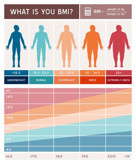 Body Mass Index Bmi Definition Formula Chart Facts Britannica | The ...