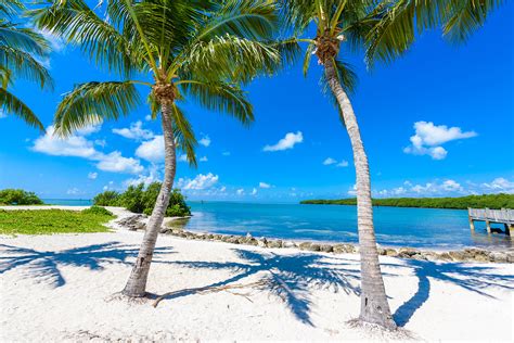 Our Guide to the Best Florida Keys Beaches – Tranquility Bay Beach Resort