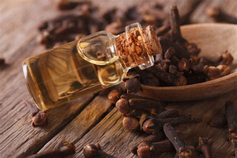 Amazing Benefits of Clove Oil for Skin - Enjoy Glowing and Healthy Skin