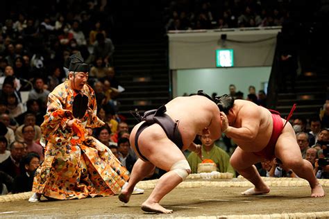 Sumo | Virtual Culture | Kids Web Japan | Web Japan