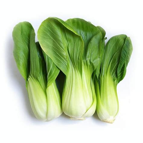 Green cabbage / ผักกาดเขียว | Cabbage seeds, Chinese cabbage, Vegetables