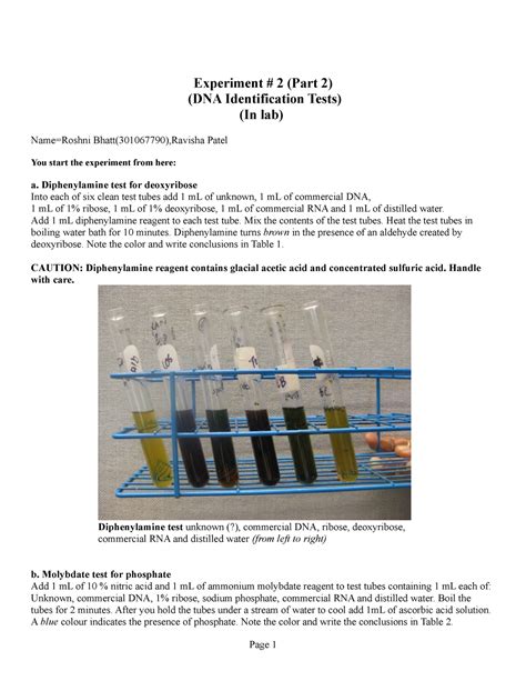 Experiemnt # 2 (Part 2) - lab report - Experiment # 2 (Part 2) (DNA ...