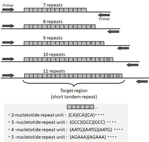 TJ. Forensic DNA profiling (also called DNA testing or DNA typing) is a ...