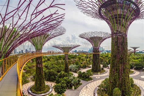 In pictures: Singapore's surreal Supertree Grove and Cloud Forest