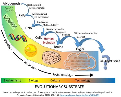 Schematic Timeline of Information and Replicators in the Biosphere ...