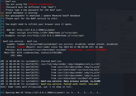 debian-kali 安装beef-xss (启动状态为failed) - 向qian看！ - 博客园