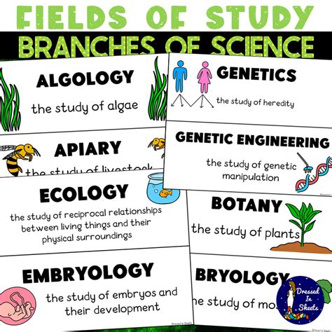 Branches Of Science