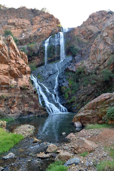 Botanical Gardens Johannesburg Entrance Fee