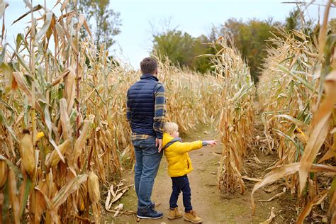 Cider & Corn Mazes: Fall Festivals to Enjoy | Maine Real Estate Blog