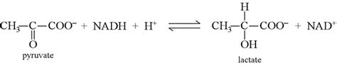 CHEM 245 - Problems in redox biochemistry