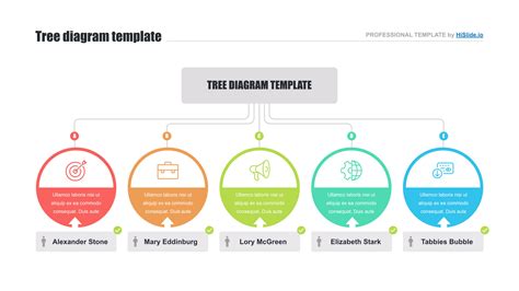 Business Process Flows