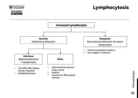 Lymphocytosis - Blackbook : Blackbook