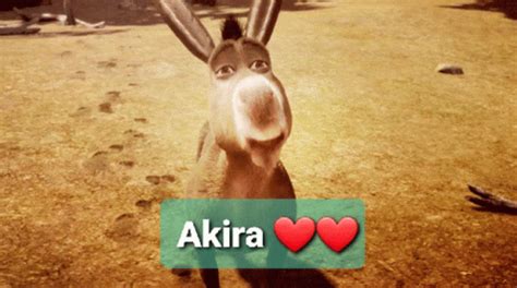 Shrek Meme Shrek GIF - Shrek Meme Shrek Shrek Donkey - Discover & Share ...