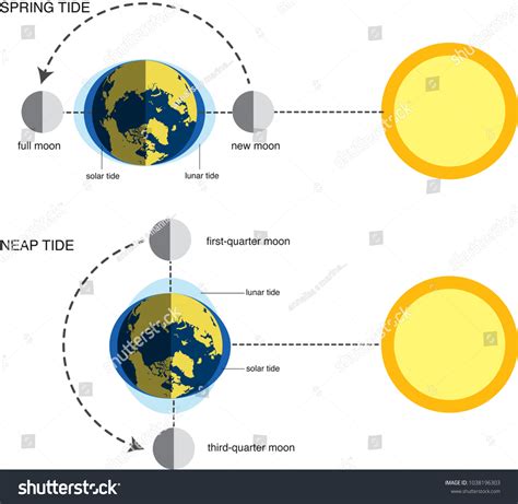 292 Neap Tide Images, Stock Photos, 3D objects, & Vectors | Shutterstock