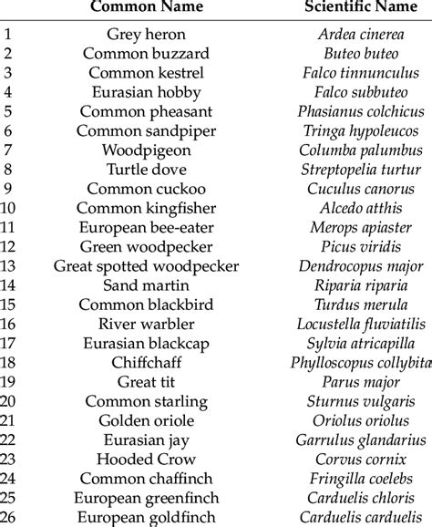 List of bird species seen and/or heard during the censuses listed in ...