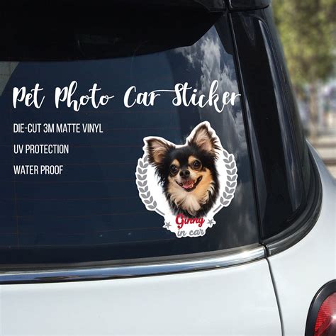 Custom Dog Car Sticker/Pet Photo Vinyl Car Decal/Animal Car Sticker ...