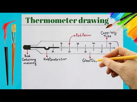 Clinical Thermometer Diagram For Class Vast Selection | www ...