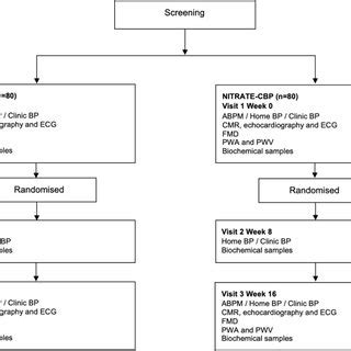 Study protocol. ABPM, ambulatory blood pressure monitor; BP, blood ...