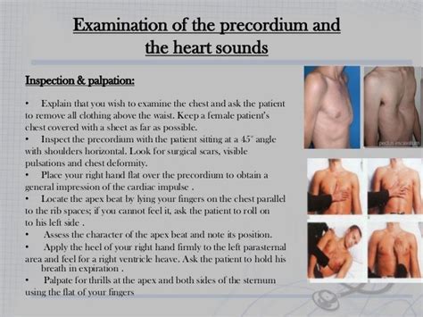 Cardiovascular System Examination Ppt