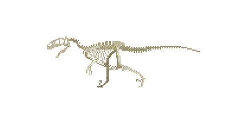 Pixilart - Utahraptor Skeleton by Myeeeeerf