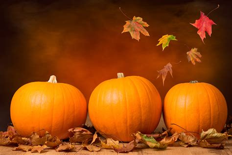 Fall Pumpkin Zoom Backgrounds