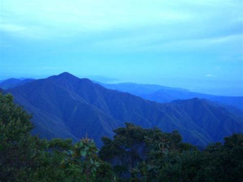 Blue Mountains in Jamaica | Blue mountain, Jamaica island, The blue ...