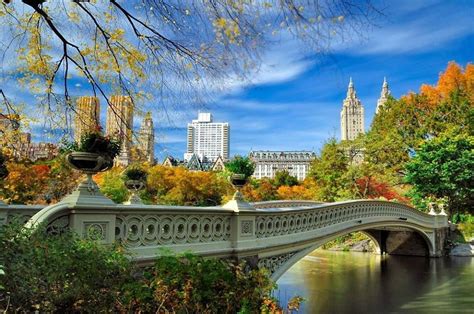 Bridge in Central Park | New york city central park, Visit new york ...