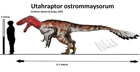 Utahraptor Size Comparison