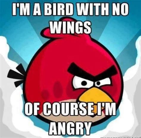 angry birds meme - Stacey Huger