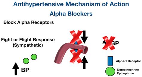 Antihypertensive Medication Chart: Drug Classes, List of Examples ...