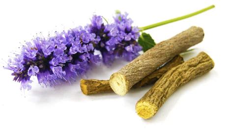 The many Benefits of Liquorice Root - a short guide