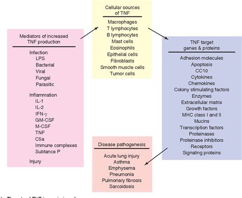 [PDF] TUMOR NECROSIS FACTOR ALPHA (TNF-α) | Semantic Scholar