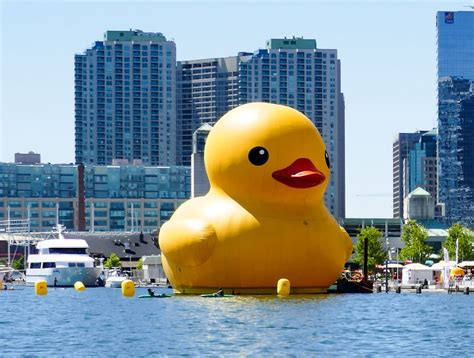 See the Giant Rubber Duck that Waddled into Toronto to Celebrate Canada ...