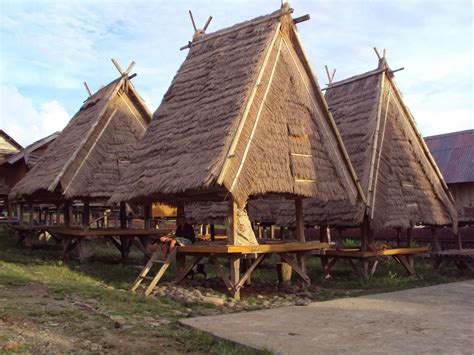 Image result for mentawai traditional house | Arsitektur vernakular ...