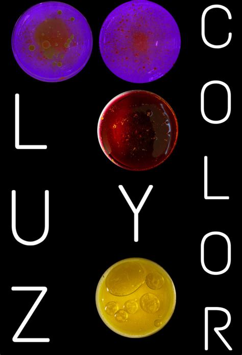 Luz y Color :: Behance