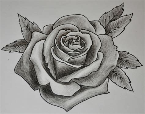 Shaded Rose Drawing at PaintingValley.com | Explore collection of ...