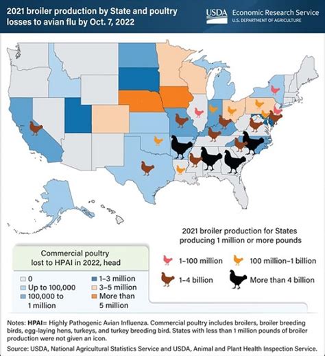 USDA Release Map Showing Avian Flu Outbreak By State - Poultry Producer