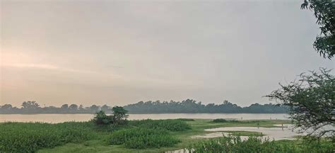 Sirpur Wetland: From Ruination To Ramsar Site Designation | Nature inFocus