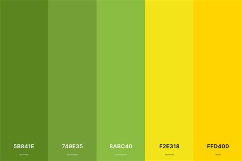 35+ Best Green Color Palettes with Names and Hex Codes – CreativeBooster