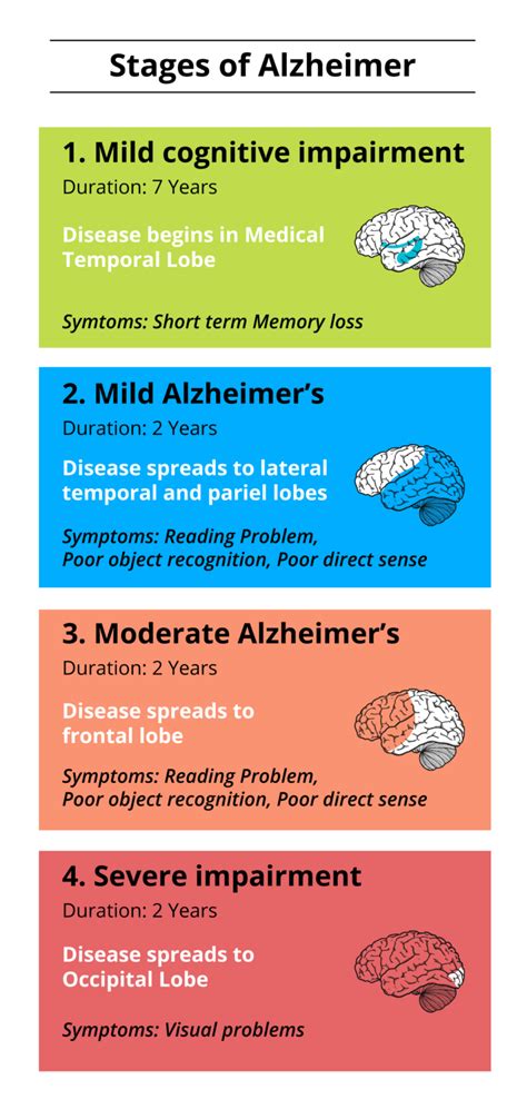 What are the 4 stages of Alzheimer and their effects? | CircleCare