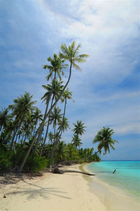 Fakarava Travel Guide | Beautiful places nature, Beautiful beaches ...