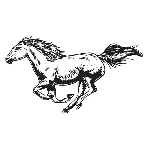 Running Horse Vector Art, Icons, and Graphics for Free Download