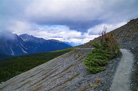 Alpine Path Mountain - Free photo on Pixabay - Pixabay