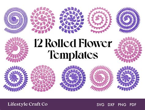 Rolled Flower SVG 3D Flower Template Rolled Paper Flower - Etsy Australia