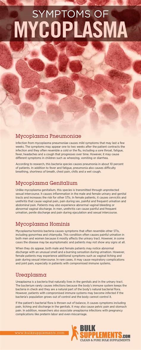 Mycoplasma Infections: Symptoms, Bacteria Species & Treatment