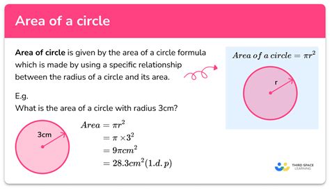 Area Of A Circle - GCSE Maths - Steps, Examples & Worksheet