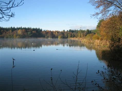 Stover Country Park takes action for nature thanks to £2.5million ...