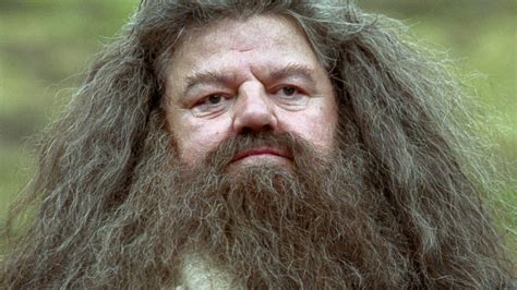 The Spellbinding History Of Rubeus Hagrid From Harry Potter