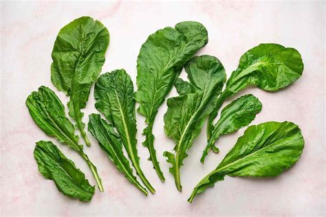 How To Store Turnip Greens | Storables